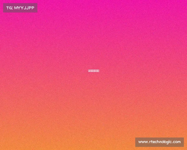 东西部决赛球队